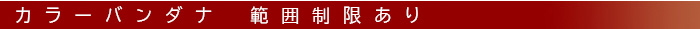 カラーバンダナ　範囲制限あり