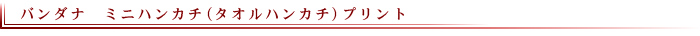 ミニハンカチ（タオルハンカチ）