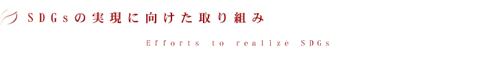 SDGsの実現に向けた取り組み